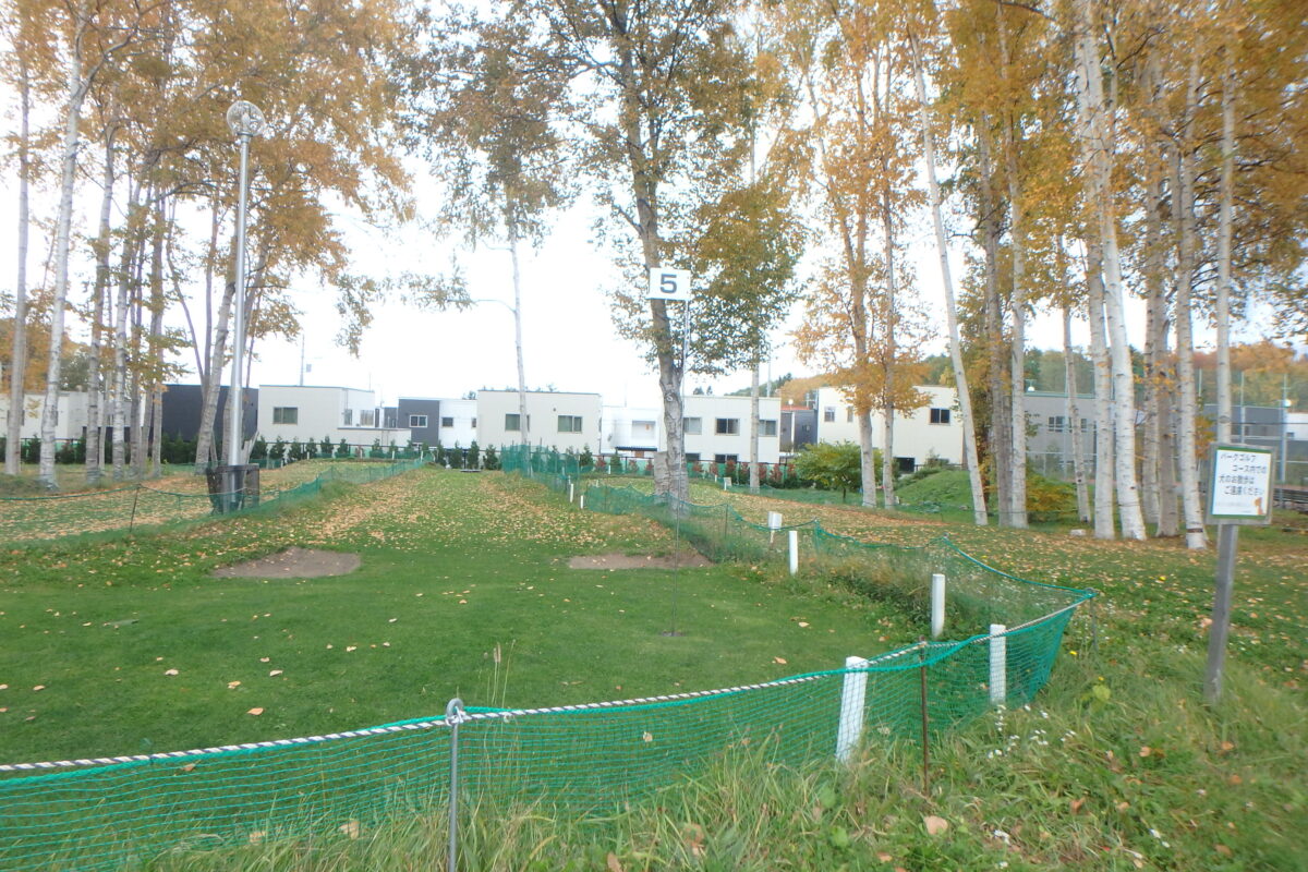 パークゴルフ場の様子