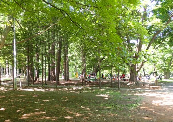 「令和５年度 札幌市プレーリーダー研修会【基礎編】を実施しました!」の画像