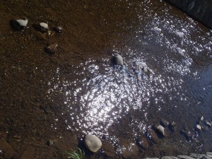 創成川の水面の写真