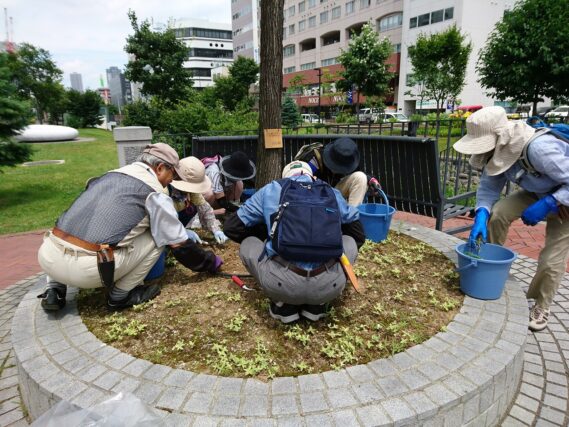 「７月のボランティア活動」の画像