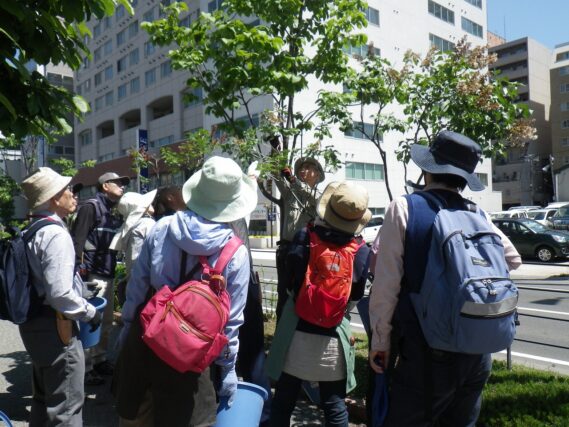 「6月のボランティア活動」の画像