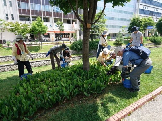 「８月のボランティア活動」の画像