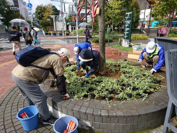 「10月のボランティア活動」の画像