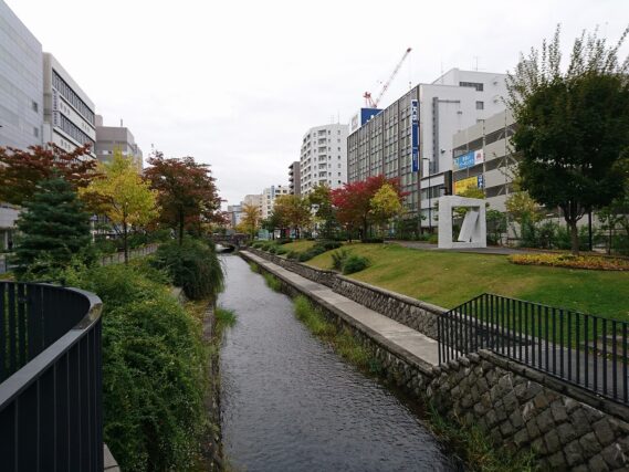 「秋らしくなりました」の画像