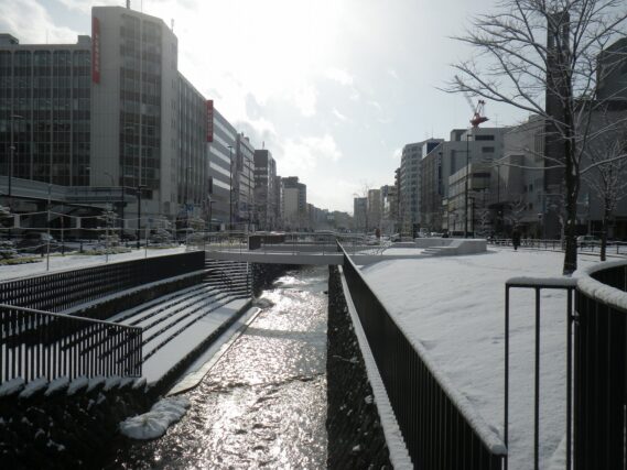 「公園も冬景色となりました」の画像