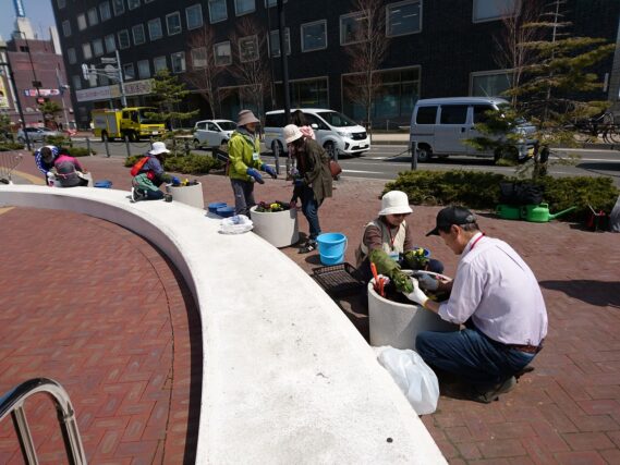 「まんなか広場のコンテナで春の花植え花くらぶ」の画像
