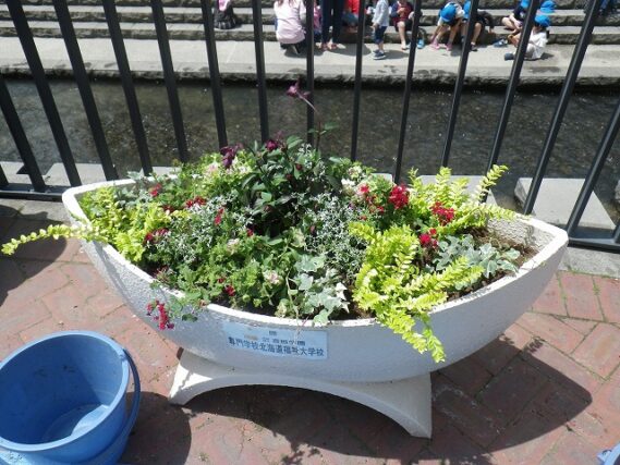 「狸二条広場のコンテナに花を植え込みました。」の画像