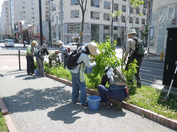 「6月の公園ボランティア」の画像