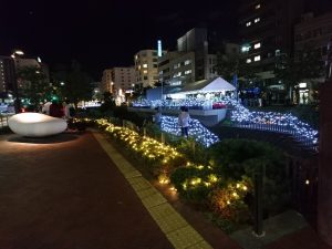 モンタナマツがイルミネーションされた園路2