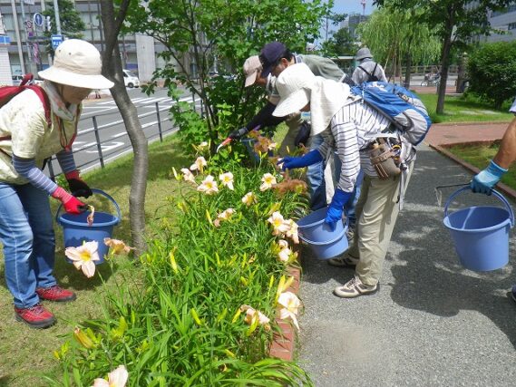 「3つの公園ボランティアの夏の活動」の画像