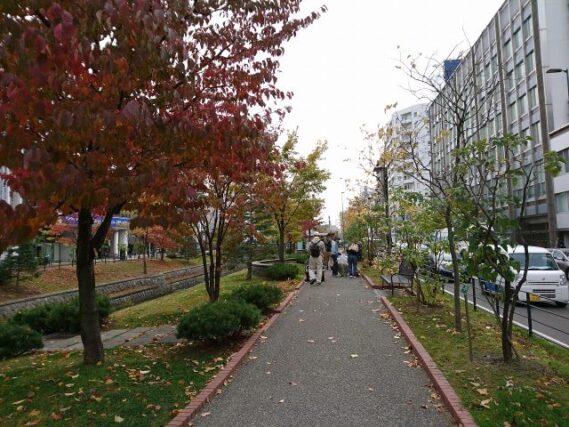 「外作業も終了へ10月のボランティア活動」の画像