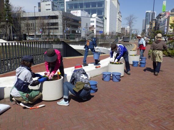 「まんなか広場のコンテナに春の花を植え込みました」の画像