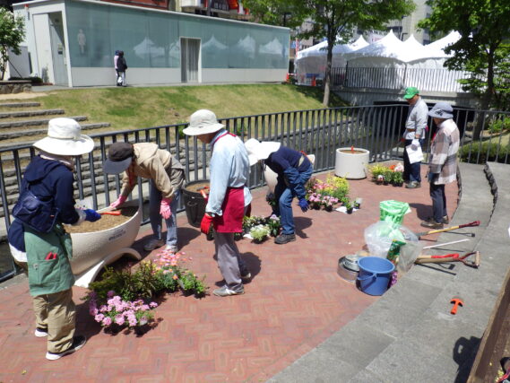 「狸二条広場コンテナ植え込み花くらぶ」の画像