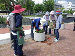 コンテナに花苗を植え込む花くらぶのメンバーの写真