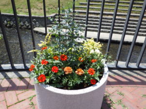 狸二条広場に設置されている花の植えられたコンテナの写真1