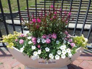 狸二条広場に設置されている花の植えられたコンテナの写真2