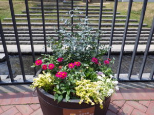 狸二条広場に設置されている花の植えられたコンテナの写真3
