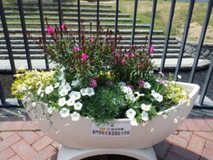 狸二条広場に設置されている花の植えられたコンテナの写真4