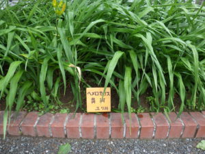 へめっ蘆花リス花壇のつけられた花名板