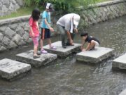 平成30年の創成川七夕会の様子2