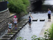 狸二条広場で開催した七夕会で作ったささぶねで遊ぶ様子