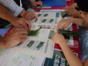 狸二条広場で開催した七夕会でささぶねを作る様子