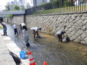 創成川環境整備活動で中学生と一緒に川で魚を取る助け隊