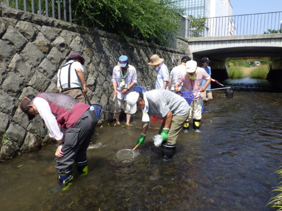 「公園内創成川の環境整備活動」の画像