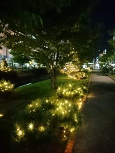 9月13日のキャンドルストリームで樹木にイルミネーションがつけられた様子3