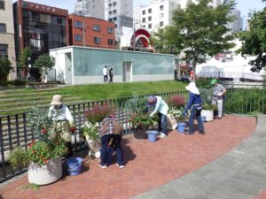 9月5日の花くらぶの活動の様子2