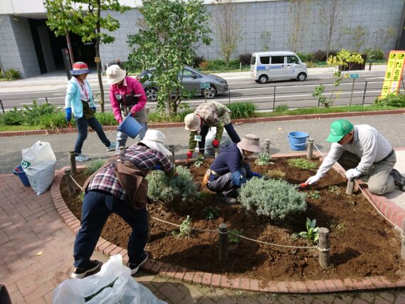 「コンテナ花壇の冬支度花くらぶ」の画像