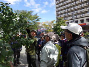 10月15日に笠先生の指導を受ける植物ボランティア2