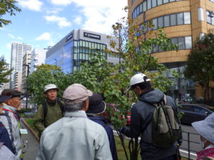 10月15日に笠先生の指導を受ける植物ボランティア3