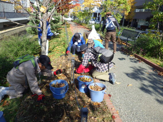 「スズランの冬支度お助け隊」の画像