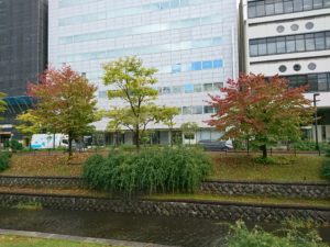 10月08日の園内紅葉の様子