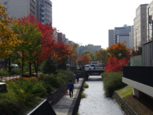 10月24日の園内紅葉の様子2