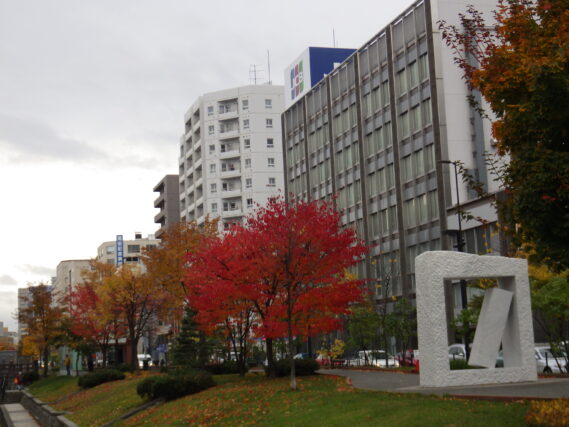 「紅葉」の画像