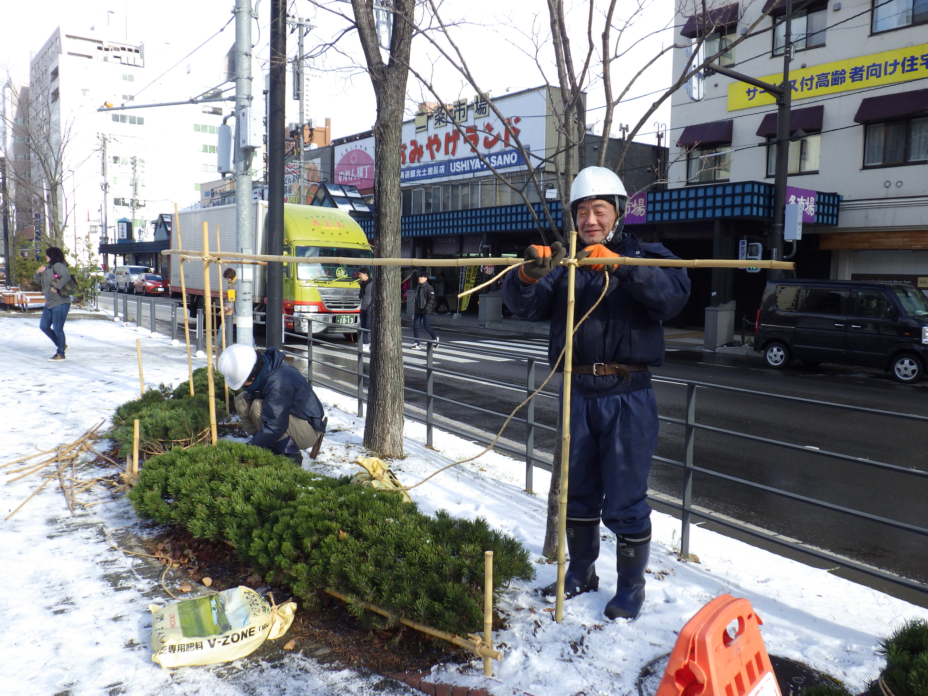 樹木の冬囲い 創成川公園