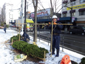 冬囲い作業をする作業員さん3