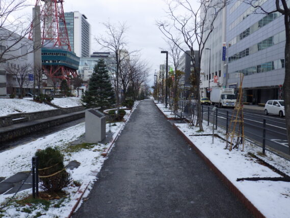 「樹木の冬囲い」の画像