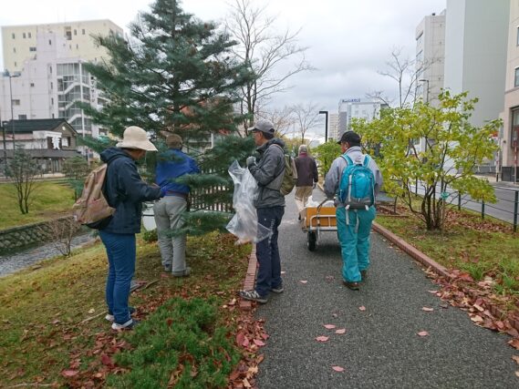 「樹名板の取り外しで最後の外作業植物ボランティア」の画像
