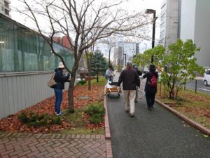 樹名板外しをする植物ボランティア2