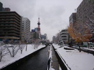 南2条からテレビ塔を望む園内の雪景色