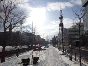 公園内北1条の様子