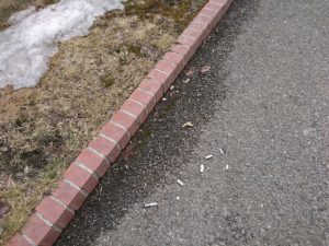 園路にポイ捨てされたたばこの写真2