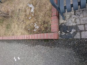園路にポイ捨てされたたばこの写真1