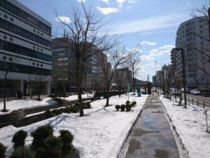 園内南1条ブロックの様子