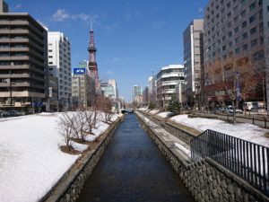 園内南2条ブロックの様子