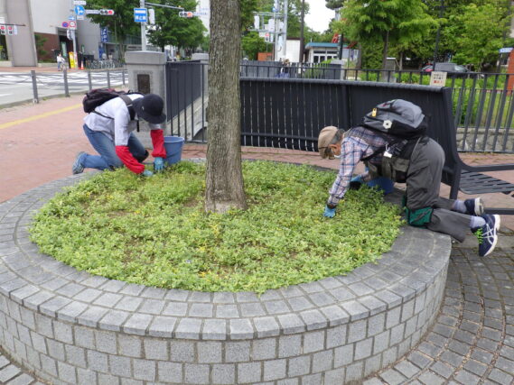 「感染予防対策を取りながら6月より公園ボランティアの活動再開」の画像