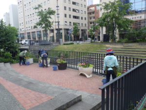 6月25日の花くらぶの活動の写真